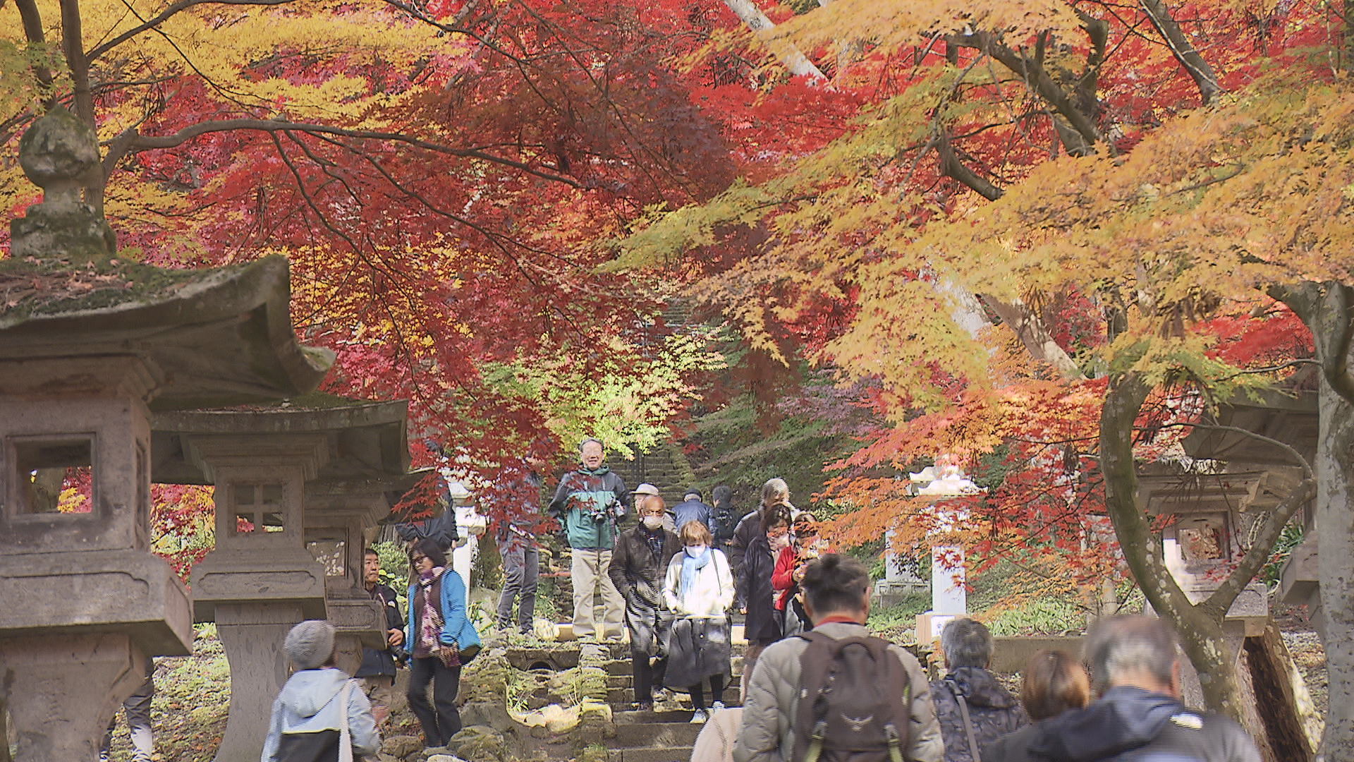 「“きれい”の一言」目を奪うほどの紅葉の名所…信州の“清水寺”【長野市】