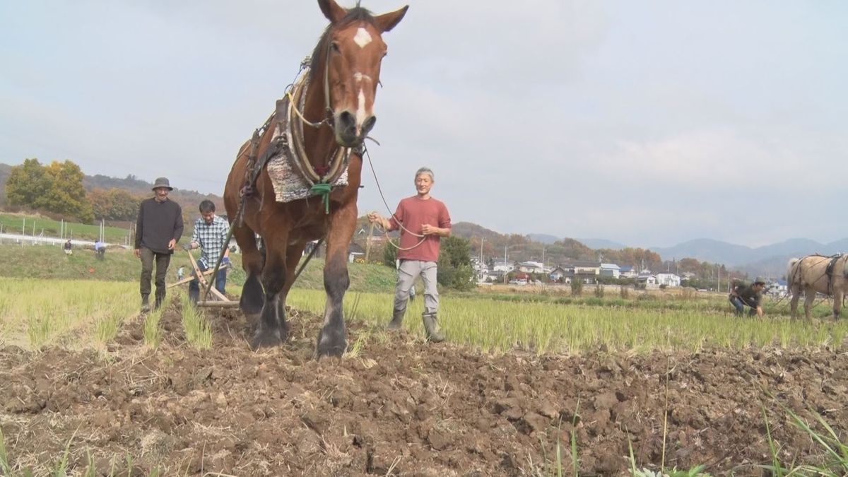 【特集・里山WEEK】人と里山をつなぐのは「馬」　里山再生の取り組み