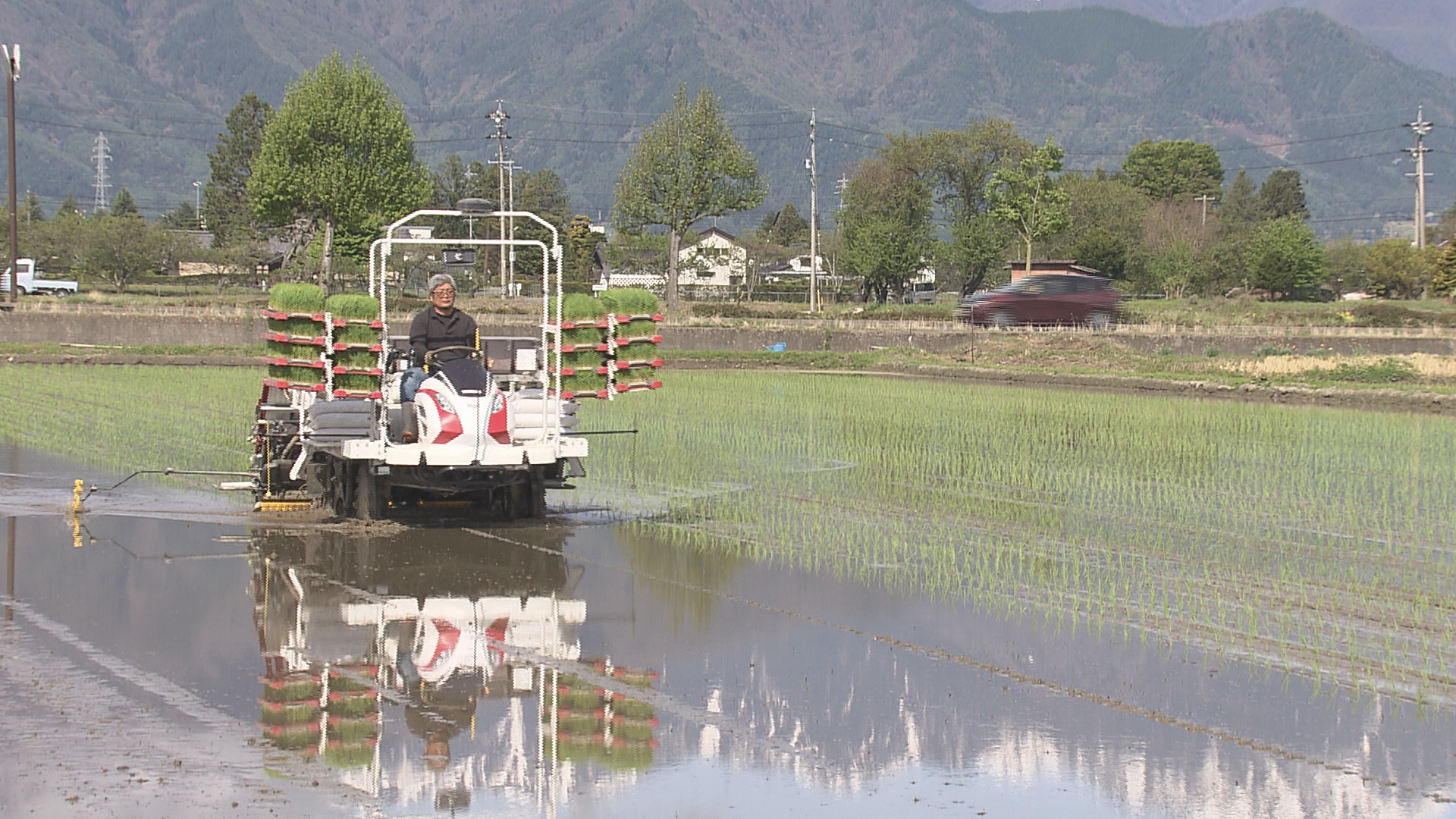 残雪の北アルプス映す水田　米どころ安…