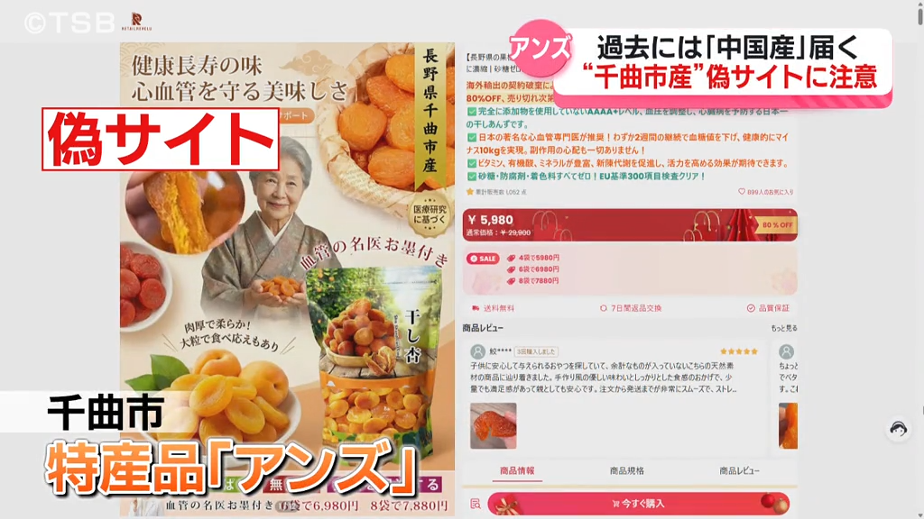 千曲市産アンズ」をかたる偽サイトに注意！29日だけで7件の相談 公式の