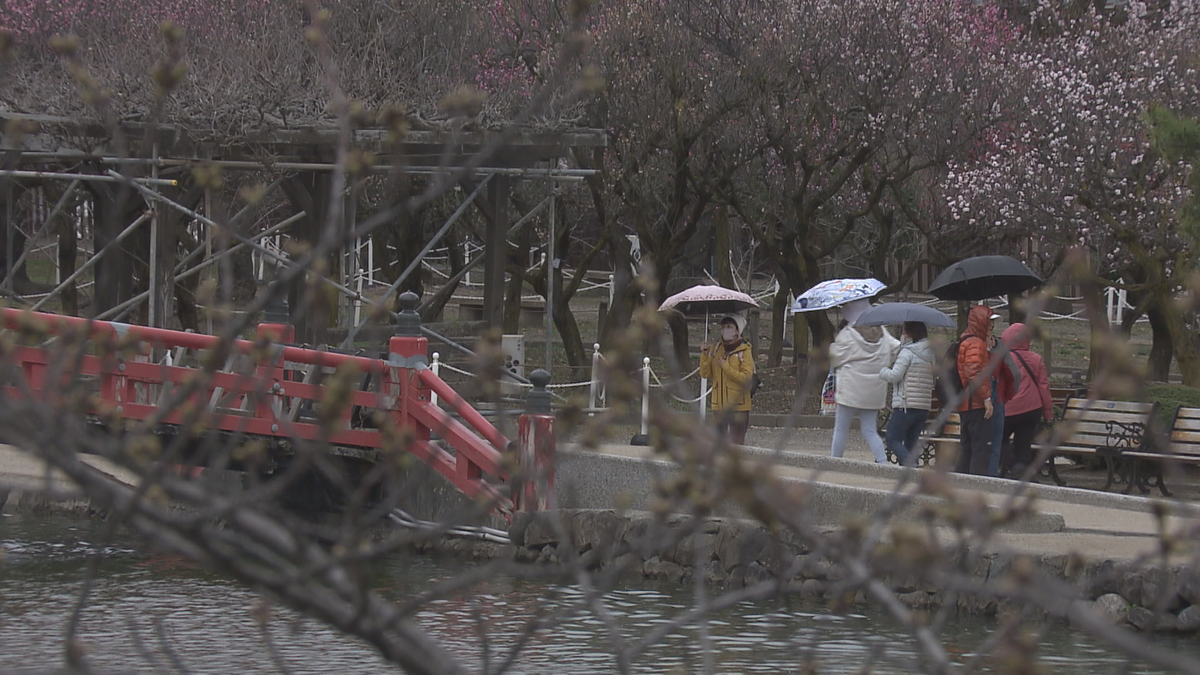 松本城のサクラ開花足踏み 開花は週末か 県内は低気圧の影響で雨に…