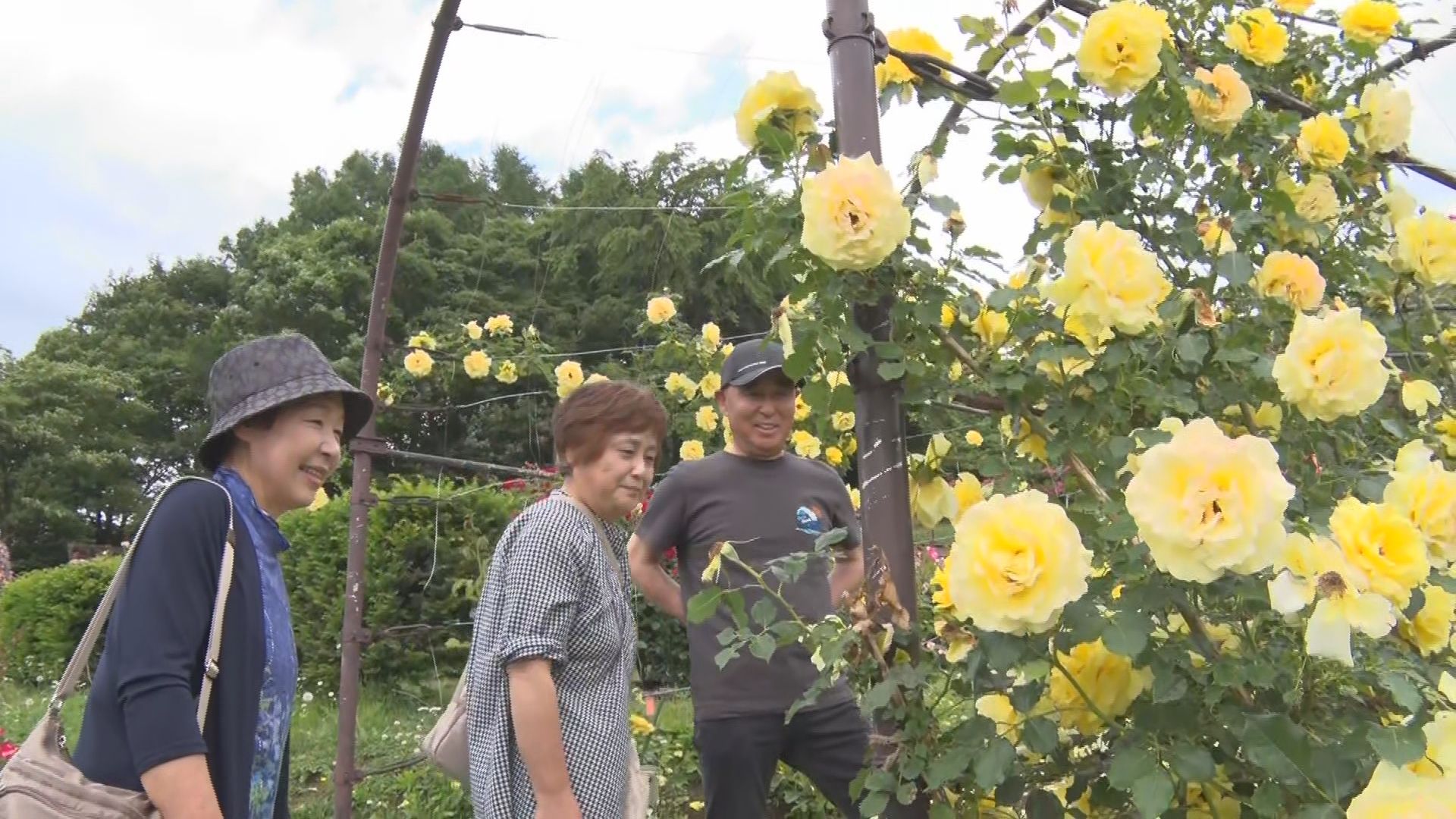 「ほっとします」約270種3000本…