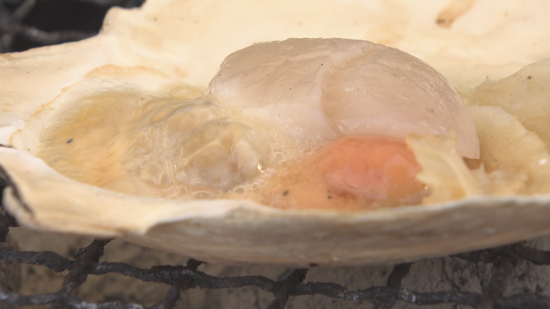 大きなホタテにイカ焼きも　長野県松本…