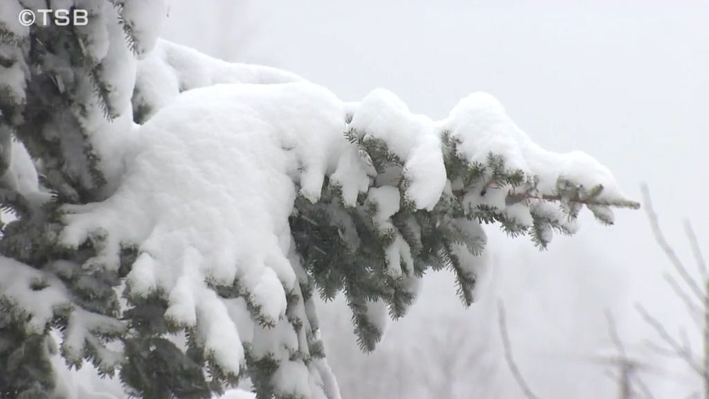 北部中心に雪　8日は警報級の大雪の恐れも　路面凍結など十分注意を【長野】