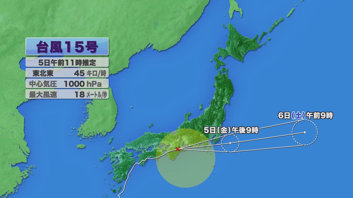 台風 15 号 の 情報
