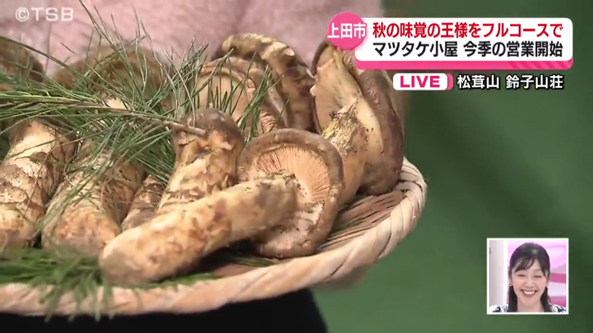 国産松茸信州長野伊那市10月20日午前9時558㌘