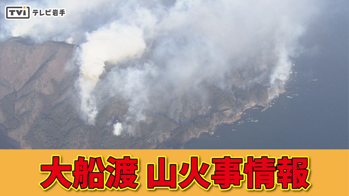 【大船渡・山火事】消火活動続く「月曜まで空気が乾燥した状態か」