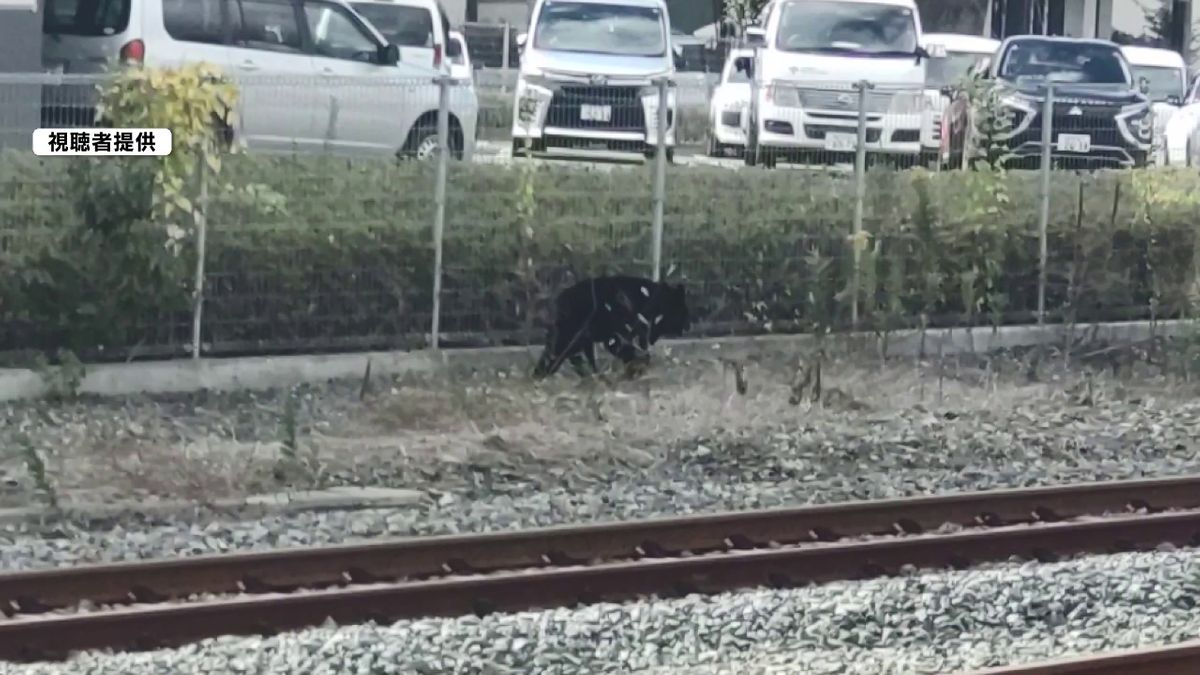 当時のメディア報道・掲載写真