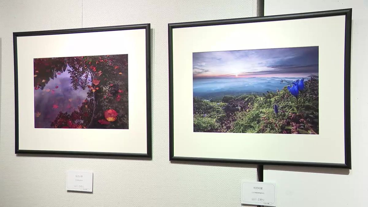 【自然からのメッセージ】東北の風景写真展　岩手でオーロラが観測された頃の宮古の海は幻想的な表情　岩手県盛岡市