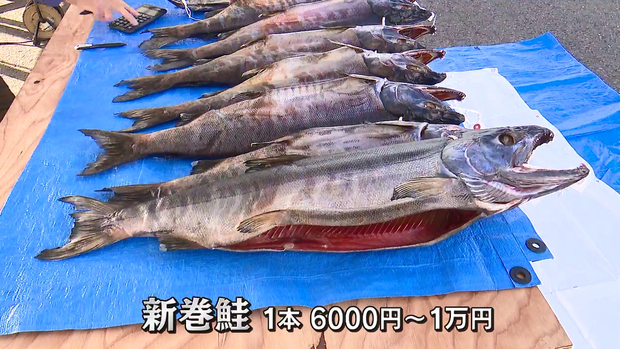 鮭様専用 2回目 【公式通販】