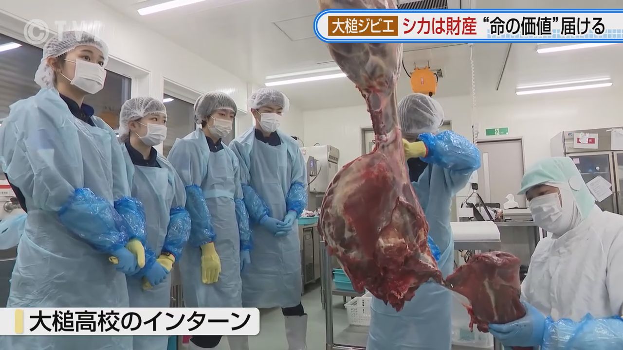 2ページ目 【命の価値】ジビエで大槌町を応援 シカを狩り加工販売する