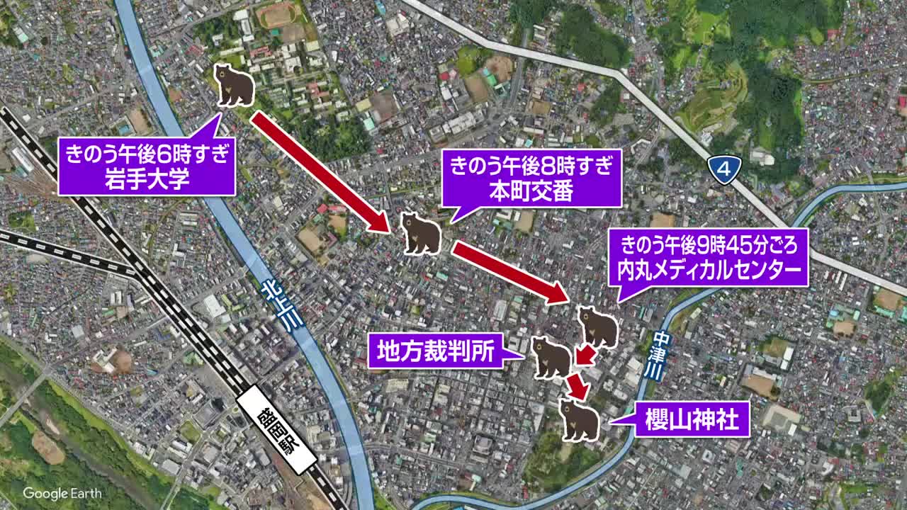 盛岡市中心部でクマの目撃相次ぐ】岩手大学で目撃されたクマと同一個体