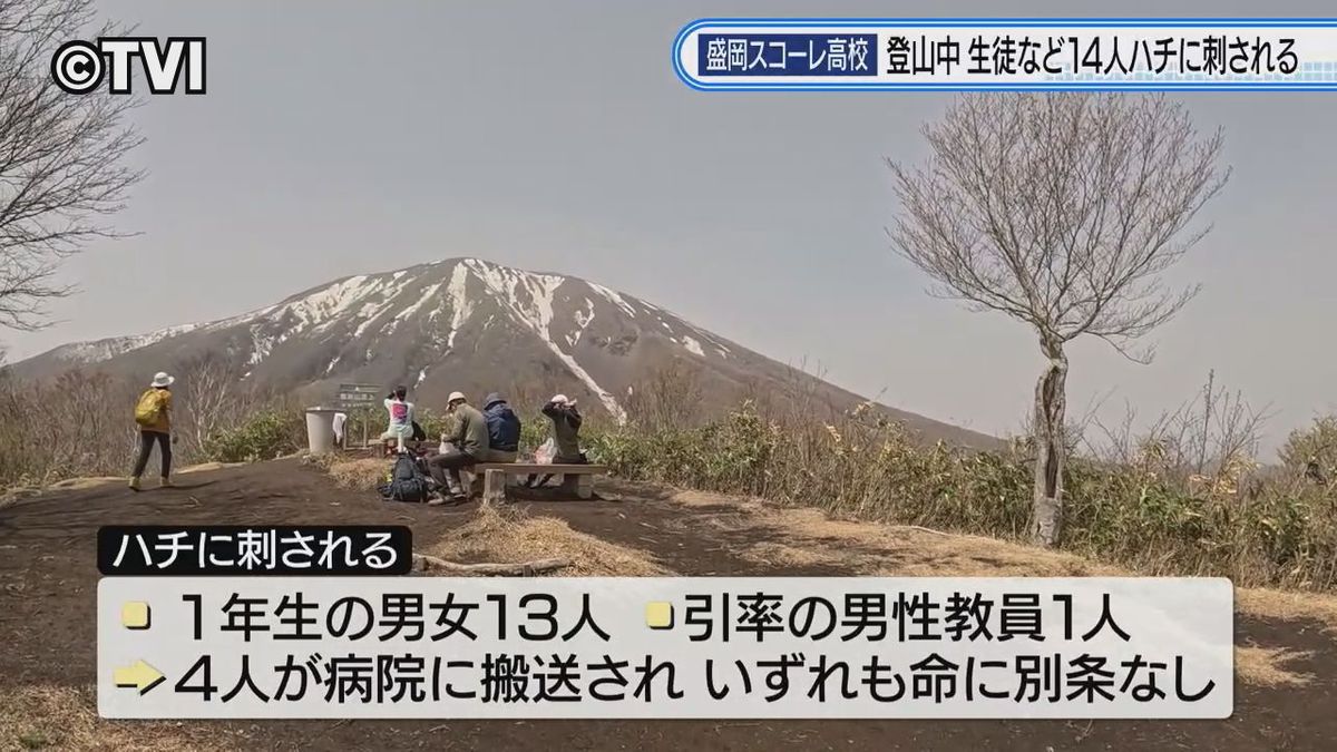 【登山中の高校生ら14人ハチに刺される】うち4人は病院に搬送　岩手・鞍掛山