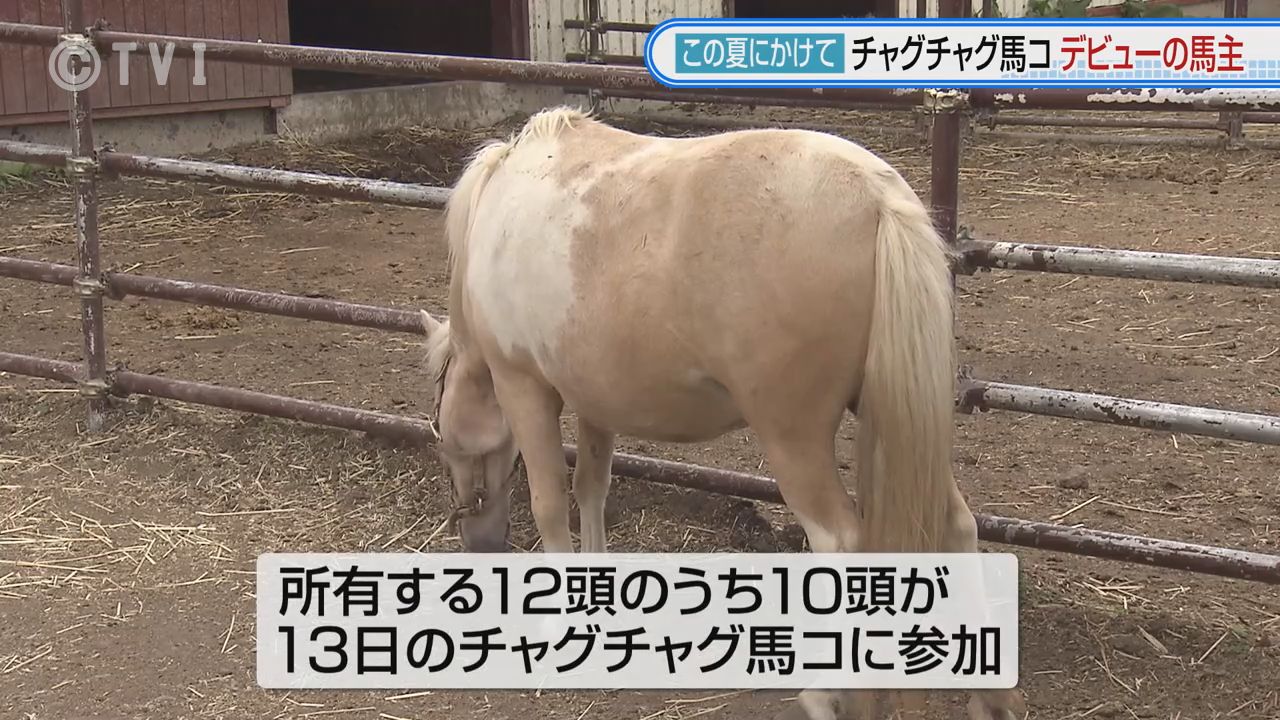 この夏にかけて②チャグチャグ馬コ 新たな馬主デビューへ（2026年6月11