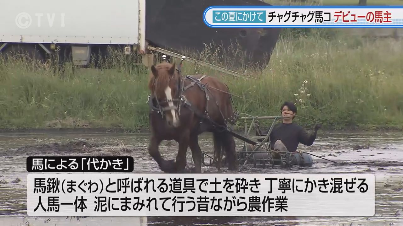2ページ目 この夏にかけて②チャグチャグ馬コ 新たな馬主デビューへ