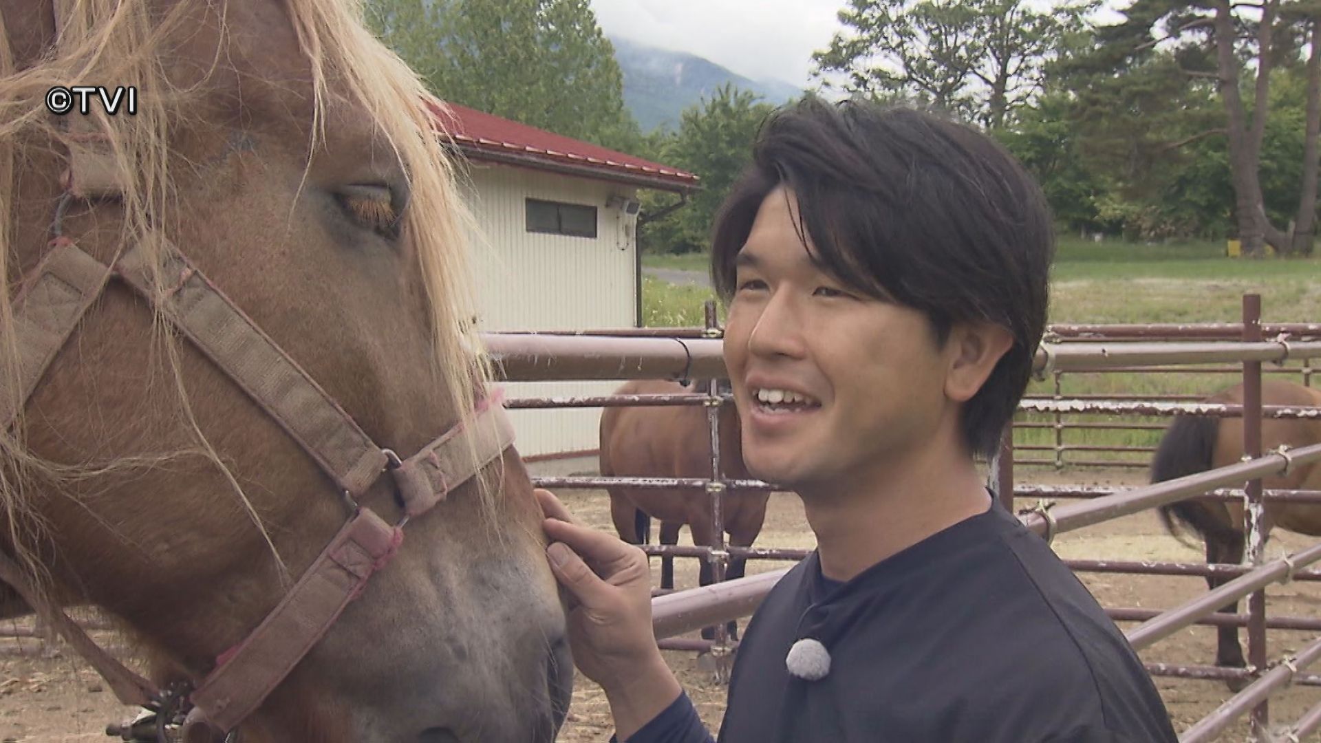 この夏にかけて②チャグチャグ馬コ 新たな馬主デビューへ（2026年6月11