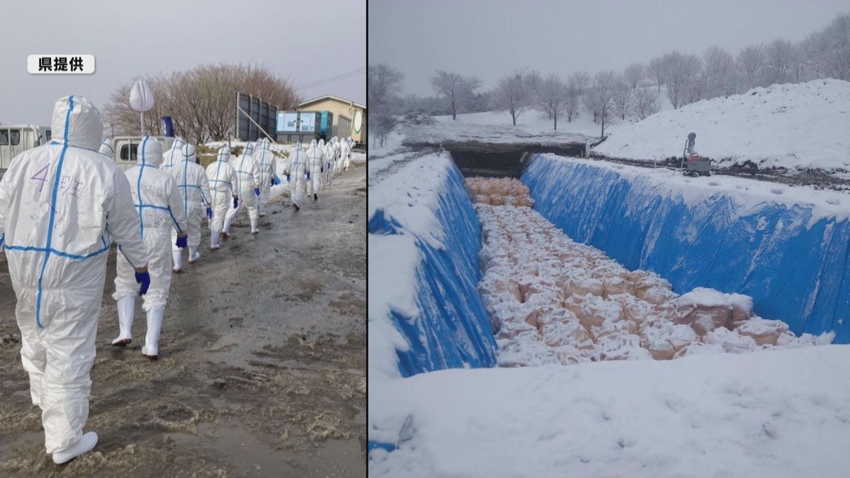 【高病原性鳥インフルエンザ】県内全域の養鶏場「緊急消毒」へ　知事が国に支援求める　