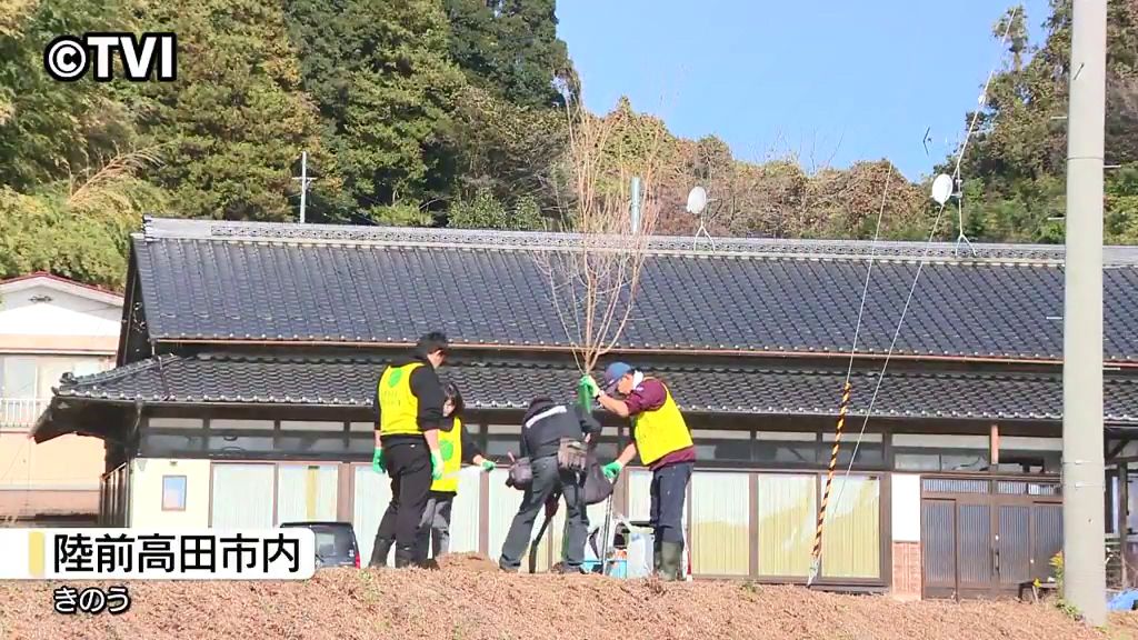 【津波から逃げる際の目印に】「桜ライン311」植樹会　累計2270本に　岩手県陸前高田市