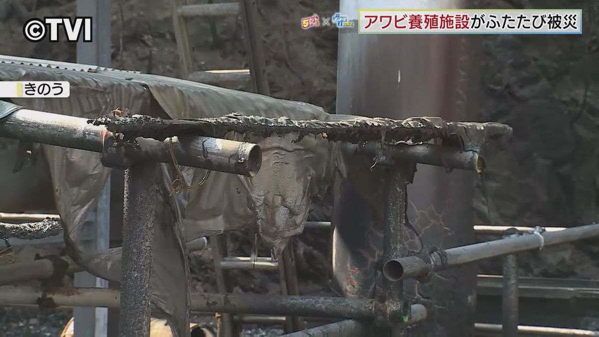震災と山林火災で2度の被災　大船渡市三陸町綾里のアワビ養殖水産会社では【東日本大震災14年】