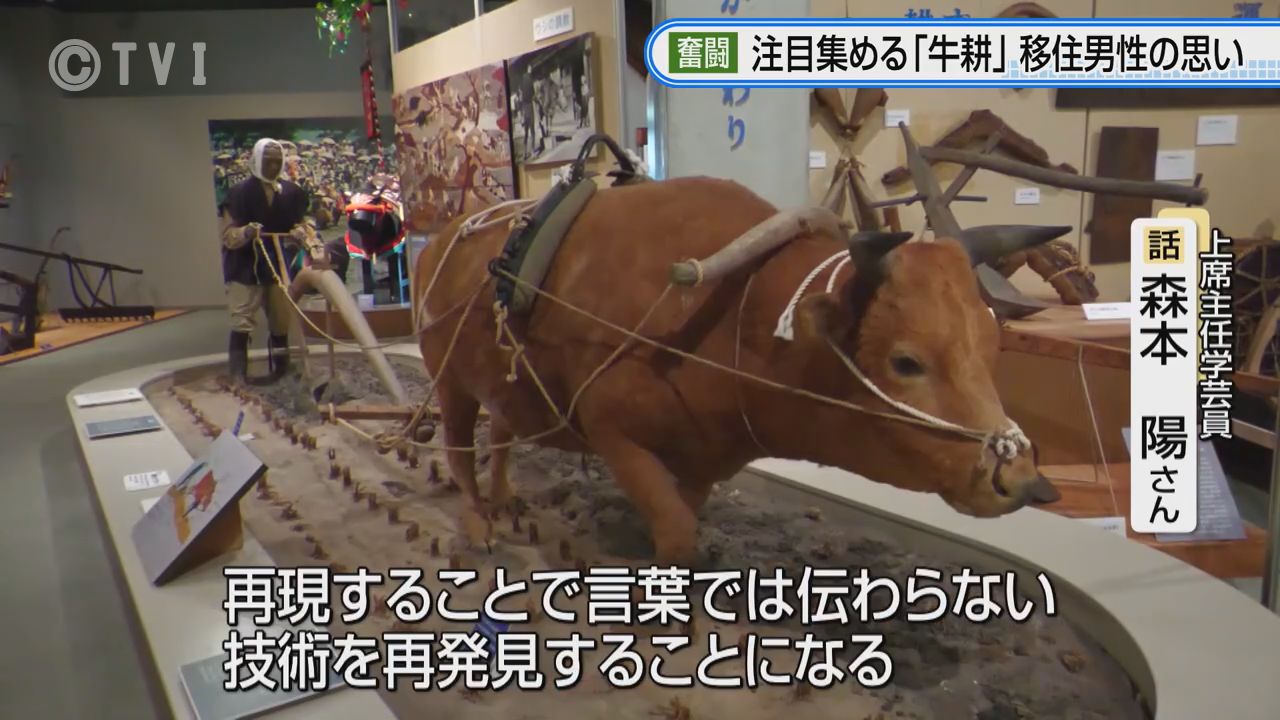 農耕に使った牛の鞍 農耕に使った牛の鞍 【公式通販】
