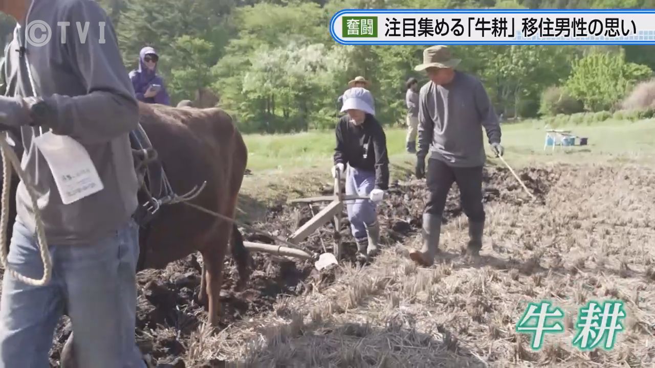 特集】注目集める「牛耕」 遠野に移住した男性が奮闘 岩手（2026年8月7