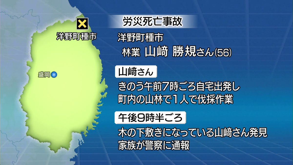 倒れた木の下敷きに 伐採作業をしていた56歳男性が死亡（2026年1月17日掲載）｜TVI NEWS NNN