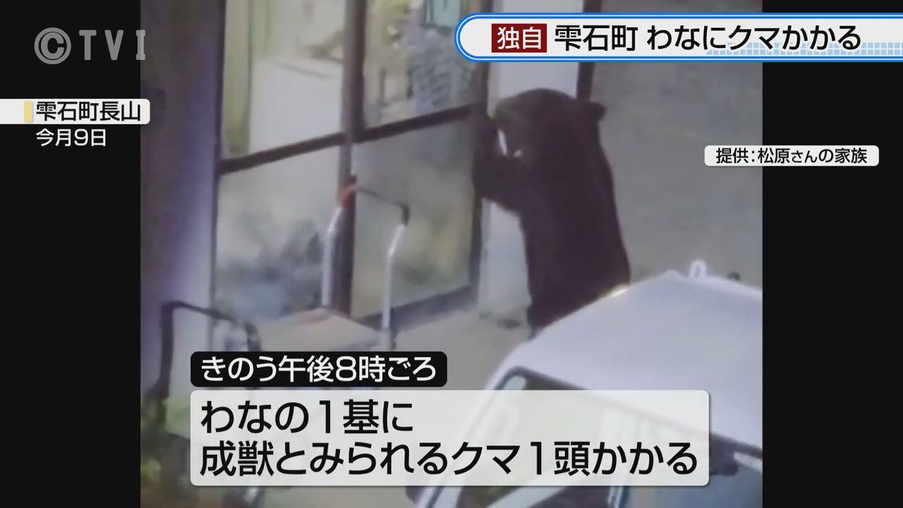 雫石町でクマ1頭わなにかかる 町内では民家に侵入するなどの被害相次ぐ