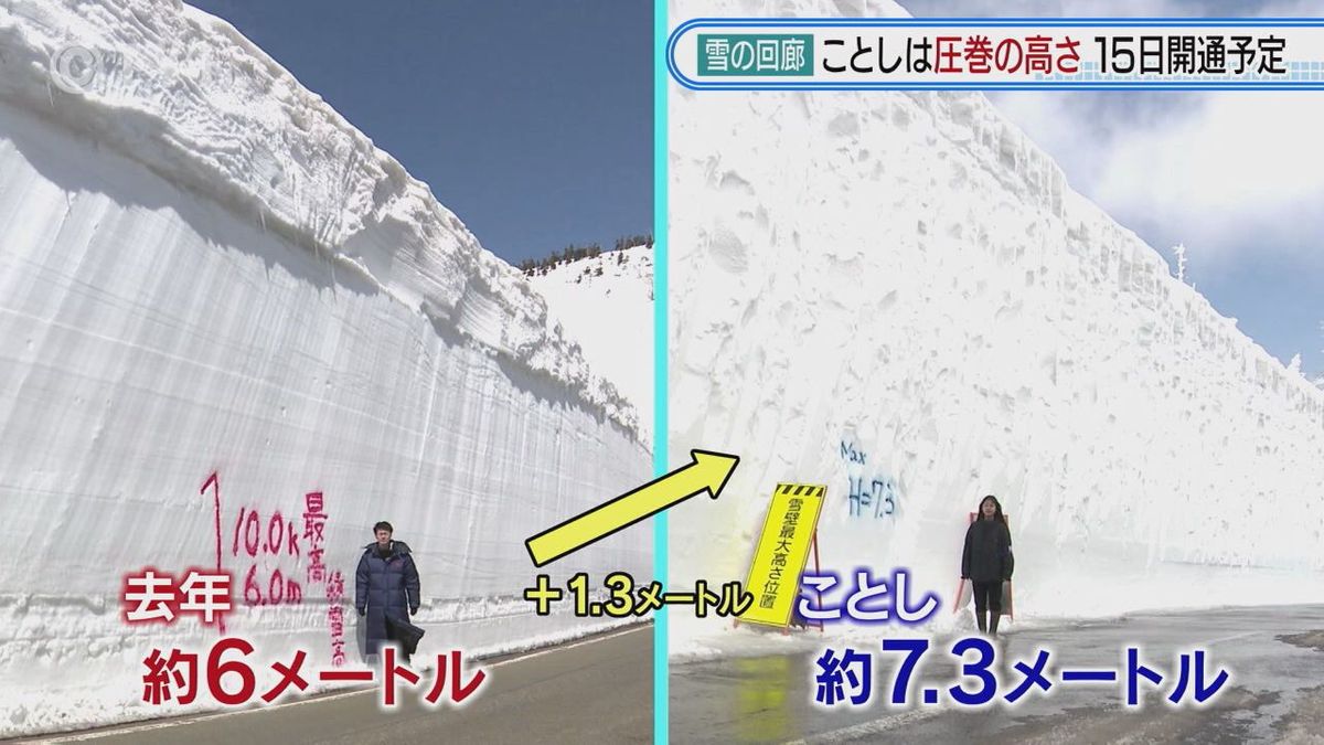 【圧巻の迫力】高さ7.3メートルの「雪の回廊」八幡平アスピーテライン15日開通へ除雪急ピッチ