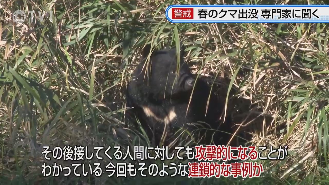 確認*⸜(* ॑꒳ ॑*  )⸝*くまさん PLANET Xから黄色い地獄の死者「あくまのくまさん」がやってきた