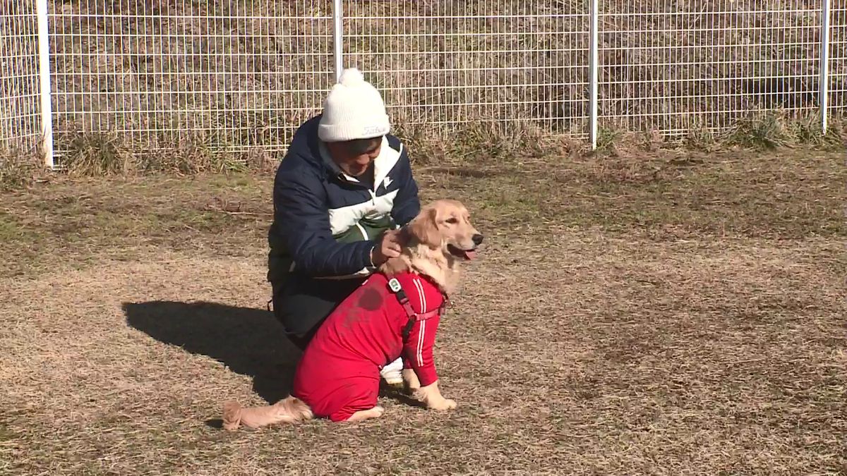 釜石で10℃超える 3月上旬から中旬並みのあたたかい成人の日