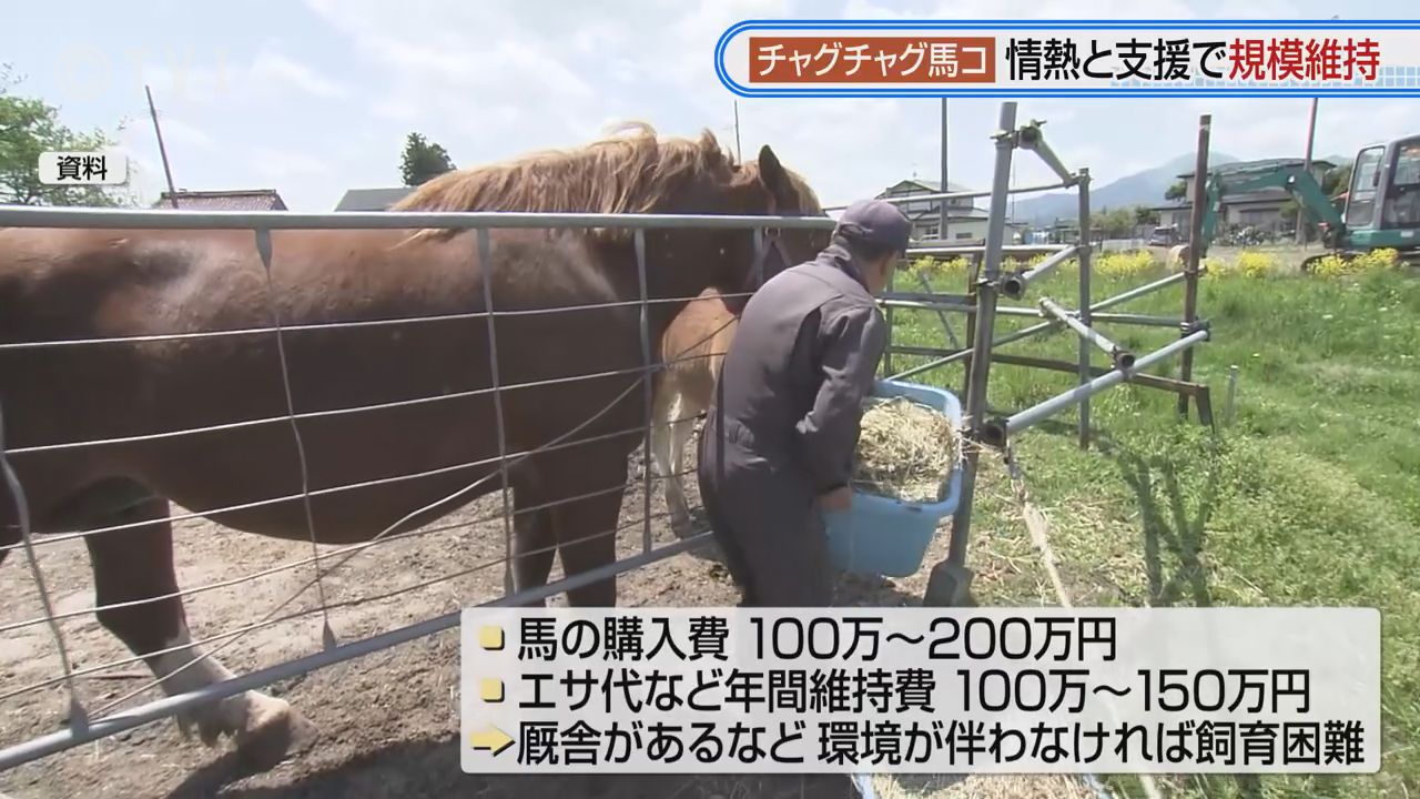 参加頭数減少と支援 チャグチャグ馬コの現状は（2026年6月12日掲載