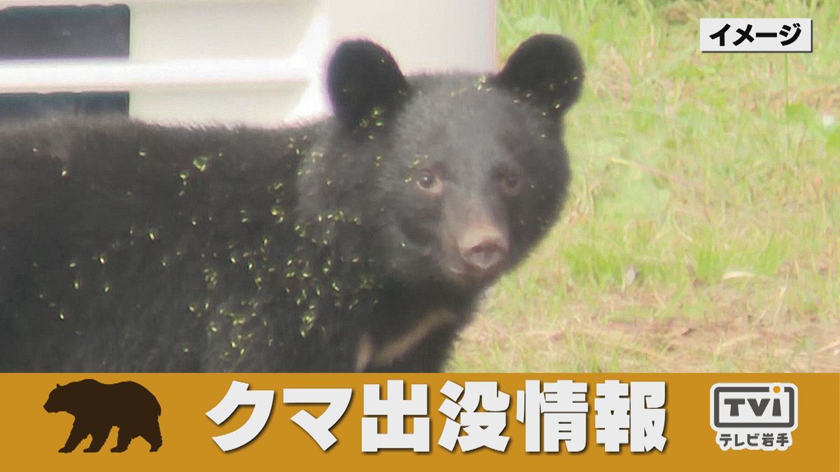 【クマの目撃情報】岩手県盛岡市西見前地内（29日午後8時ごろ）