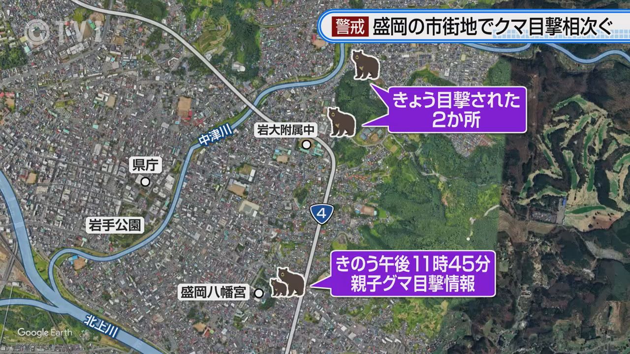 市街地でクマ目撃相次ぐ】盛岡市では10日夜から11日にかけて3件の目撃