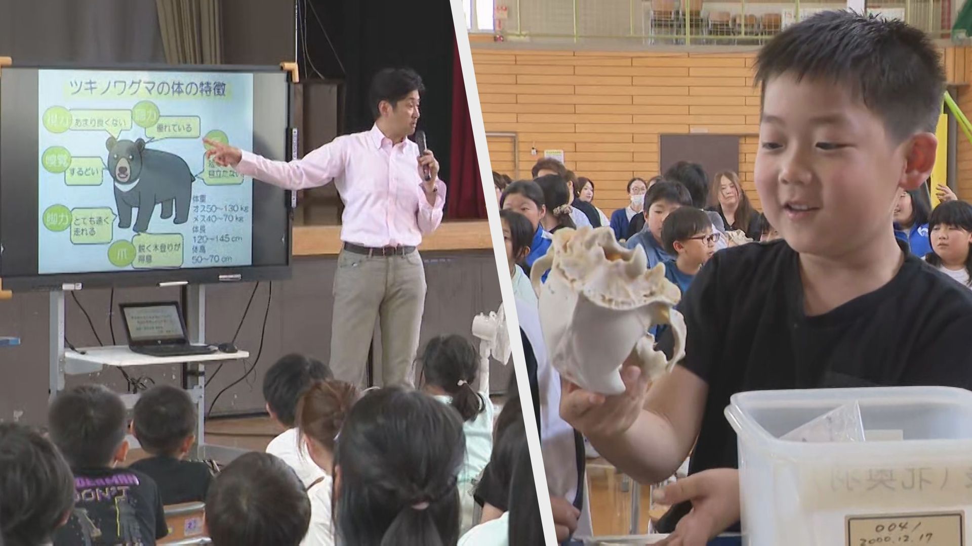 赤本　岩手大学　2012年～2023年 12年分 これまでの常識は通用しません」 岩手大学の山内准教授がクマ被害防止