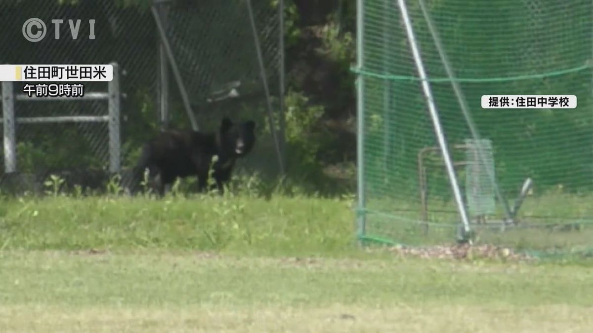 住田町の中学校校庭にクマが出没 下校時には保護者による送迎呼びかけ