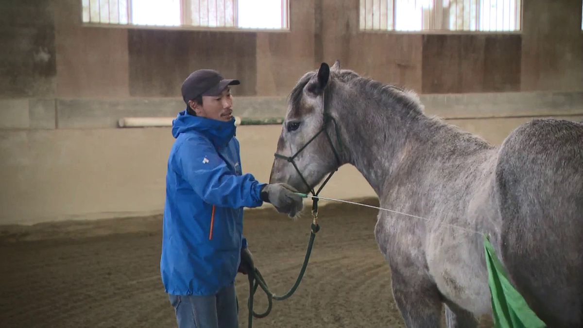 チャグチャグ馬コ 馬を引く技術・万が一暴れた場合の対処法などを参加者が学ぶ