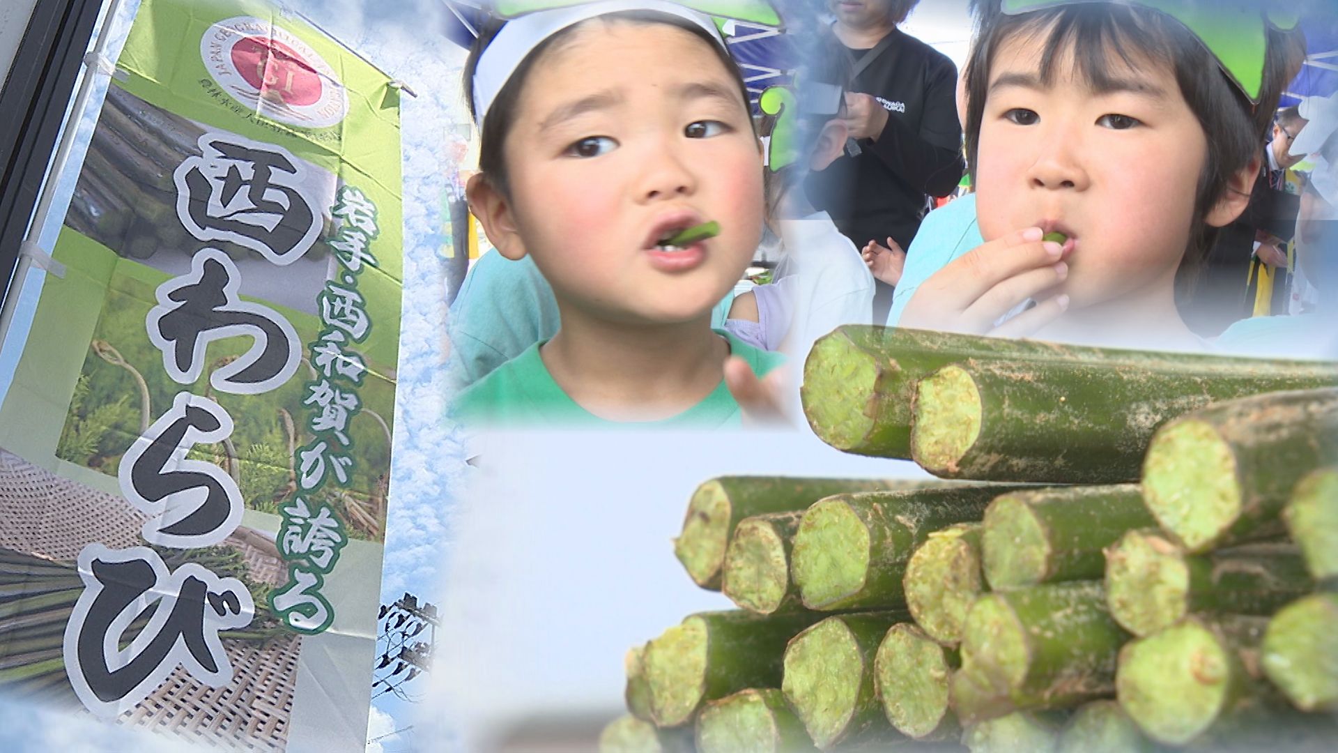 とろっとした食感で魅了】西和賀町特産「西わらび」シーズン始まる