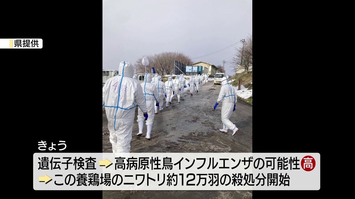 高病原性鳥インフルエンザの疑い　岩手県盛岡市内の養鶏場　