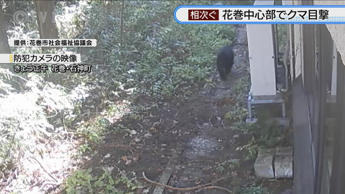 花巻市中心部の公園付近でクマ目撃相次ぐ　近くに学校も　今のところ被害なし　岩手