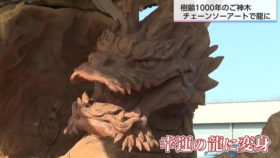 倒れたご神木が竜になって甦る 倒木した樹齢1000年のスギに丹羽哲士さんがチェーンソーアートで再び命を吹き込む