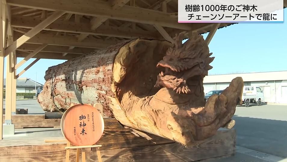 倒れたご神木が竜になって甦る 倒木した樹齢1000年のスギに丹羽