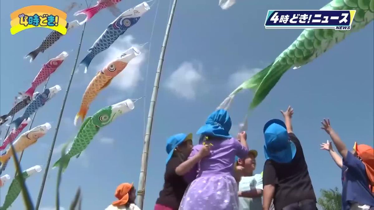 こどもたちの健やかな成長願う　　都城市庄内川で泳ぐこいのぼり　　