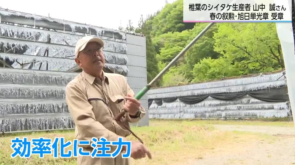 栽培効率化をめざして 椎葉村のシイタケ名人・山中誠さんが春の叙勲“旭日単光章”受章