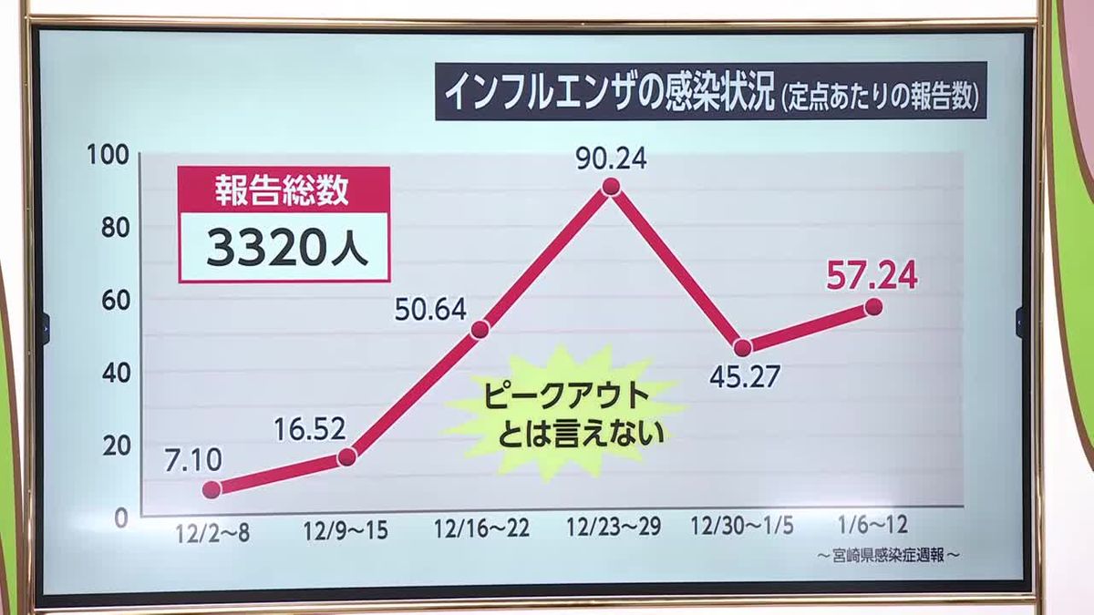 インフルエンザ流行続く　重症化し急性脳炎と診断された事例も