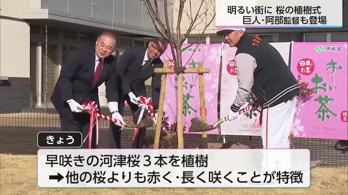 読売ジャイアンツの阿部慎之助監督も参加　ひなた県総合運動公園に桜を植樹