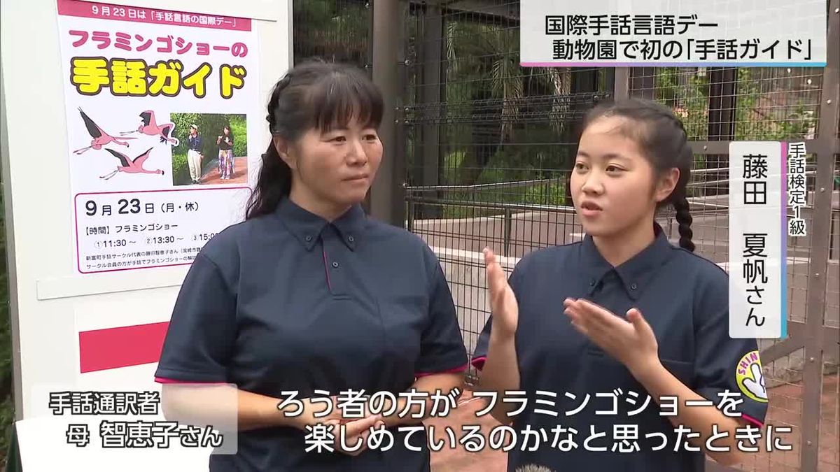 国際手話言語デー　動物園のフラミンゴショーで手話ガイド　