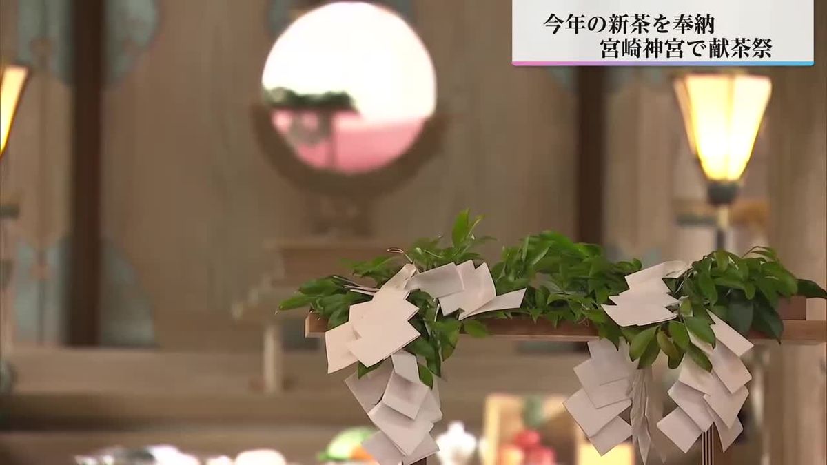 宮崎神宮で一番茶を奉納する「献茶祭」今年は例年よりも味が濃く香りも良いお茶に　