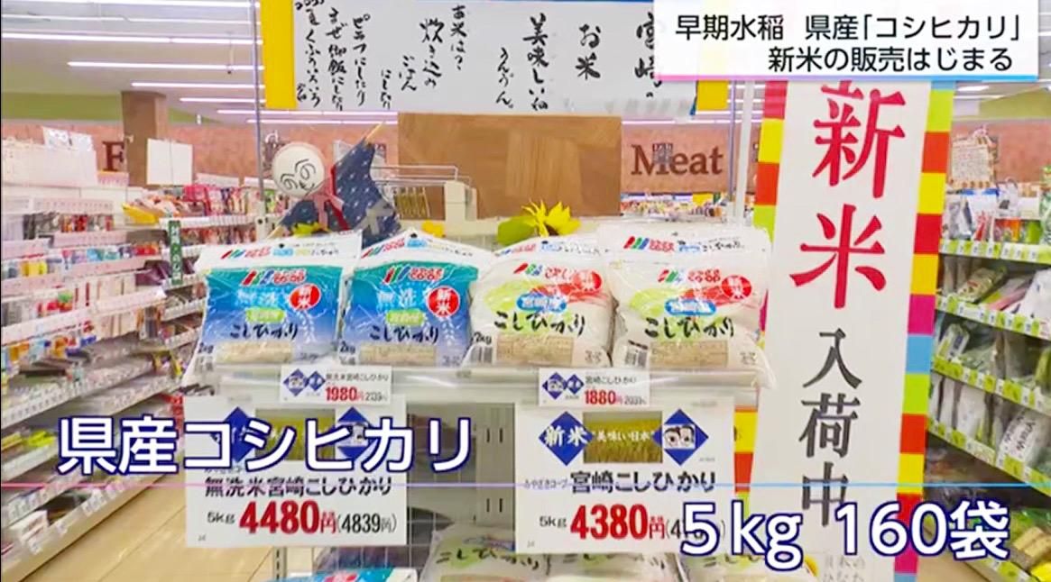 今月ラストになりそうです！コシヒカリ早いも勝ち新米こしひかり 楽天市場】博屋 令和6年産 国産 JA福島さくら あさか舞