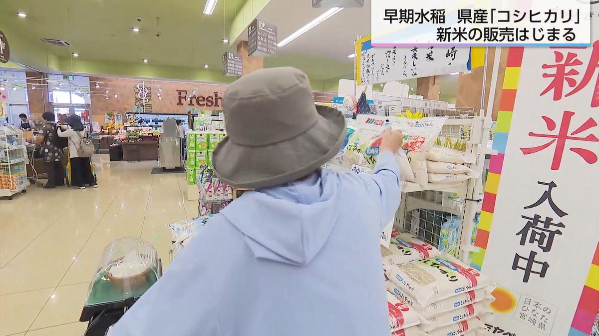 コシヒカリの新米！約5000円の値札にため息…それでも「待ってい