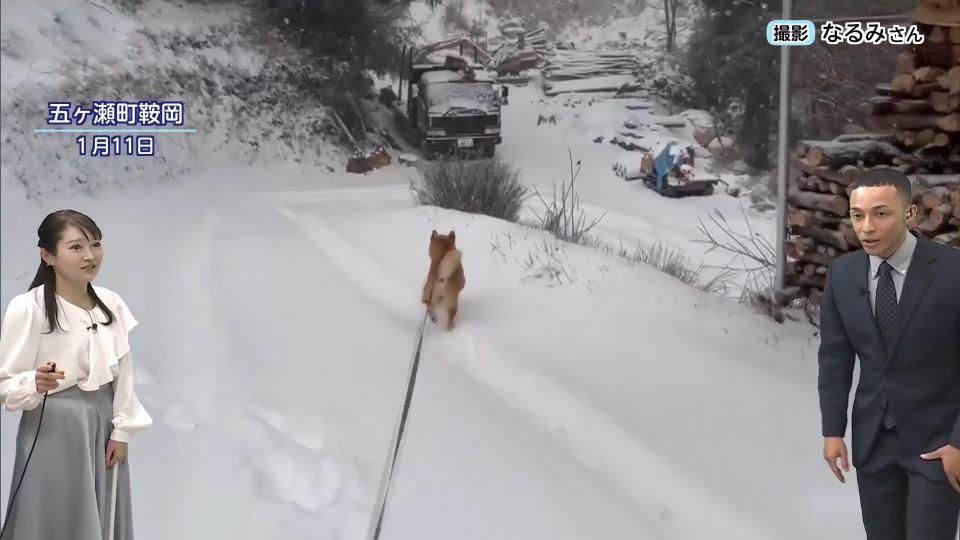 宮崎県内でも積雪に警戒を。ノーマルタイヤでの雪道走行は道路交通法